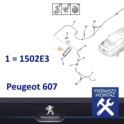pochłaniacz par paliwa Peugeot 607 2,0/2,2 EW (oryginał Peugeot)