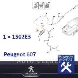 pochłaniacz par paliwa Peugeot 607 2,0/2,2 EW (oryginał Peugeot)