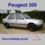 listwa błotnika Peugeot 309 89- prawy przód (używane)
