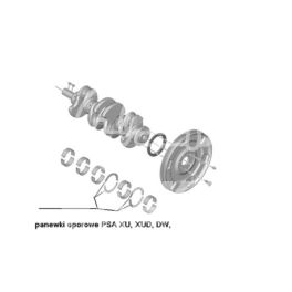 panewki oporowe Citroen, Peugeot 1,8/1,8D/1,9D/2,0HDi STD 2,28 - niemiecki oryginał AEDA