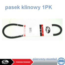 pasek klinowy 9,5x666mm - oryginał produkcji Gates