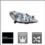 reflektor Peugeot 307 I prawy H7+H1 ele TYC