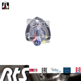 sworzeń wahacza Renault 4 / 5 górny lewy/ prawy - zamiennik hiszpański RTS