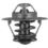 termostat Renault 2,5D/TD S8U/S9U 94- 76C
