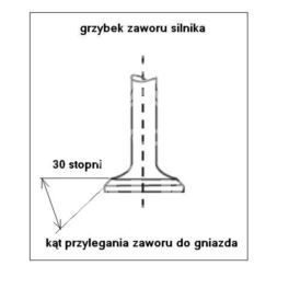 zawór silnika Renault 1,6D/1,9TD 30* ssący 1,6D - zamiennik włoski Freccia