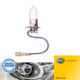 żarówka H3 55W 12V STANDARD - niemiecka HELLA