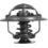 termostat Citroen/ Peugeot/ Fiat 2,8HDi 00- 82C