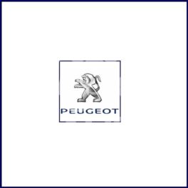 amortyzator Citroen C1/ Peugeot 107 prawy przód GAZ (Peugeot) (oryginał Peugeot)