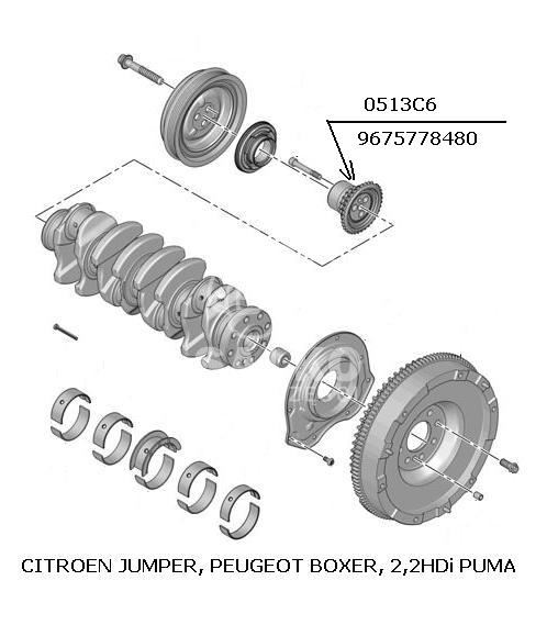 Rozrząd Boxer 3/ Jumper Iii 2,2Hdi 4Hv - Koło Zębate Na Wał Korbowy (Oryginał Peugeot)