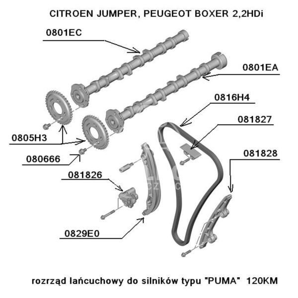 Rozrząd Boxer Iii 2,2Hdi 4Hv - Koło Zębate Na Wałek Rozrządu (Oryginał Peugeot)