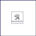 amortyzator Citroen BERLINGO III przód lewy (Peugeot) (oryginał Peugeot)