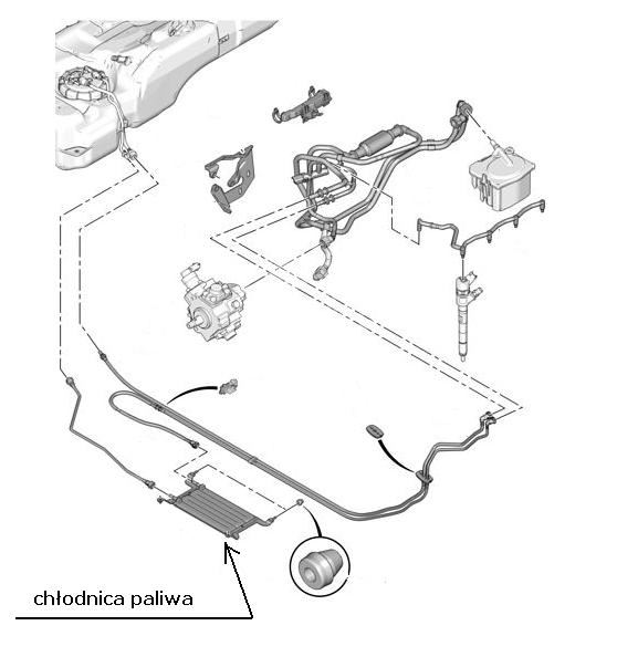 Chłodnica Paliwa C4, D34, Citroen Jumpy Iii 1,6Hdi/2,0Hdi (Oryginał Peugeot)