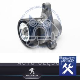 napinacz paska rowkowanego Citroen C2/ C3/ Peugeot 207/ 307 1,1i-1,6i ALT+AC 12.2003- - oryginał Peugeot