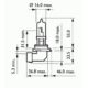 żarówka HB3 60/55W 12V - niemiecka HELLA