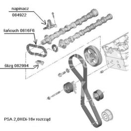 rozrząd łańcuchowy Citroen/ Peugeot 2,0HDi-16v DW10BTED4 - komplet (oryginał Peugeot)