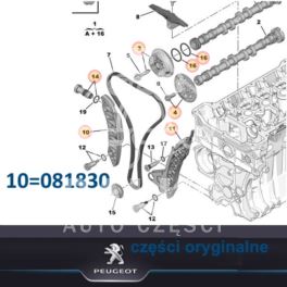 ślizg do rozrządu łańcuchowego Citroen/ Peugeot 1,6-16v THP lewy (oryginał PSA)