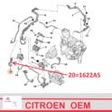 przewód ciśnienia spalin Citroen/ Peugeot 2,0HDi/ 2,2HDi od konwertera (oryginał Peugeot)