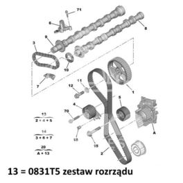 rozrząd Citroen / Peugeot 2,0HDi-16v DW10BTED4 136KM (oryginał Peugeot)