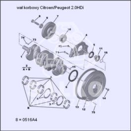 śruba koła pasowego wału Citroen, Peugeot TU/XU/EW (oryginał Peugeot)