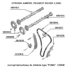 rozrząd BOXER III 2,2HDi 4HV - napinacz łańcucha (oryginał Peugeot)