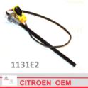 czujnik poziomu oleju Citroen, Peugeot 2,0HDi (oryginał z sieci Citroen)