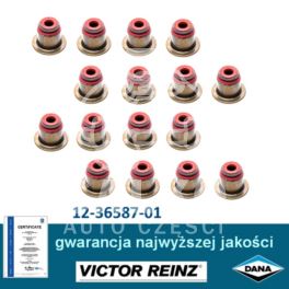 uszczelniacz zaworu Citroen, Peugeot 1,6 HDi DV6TED4 (KPL) (niemiecki producent REINZ)