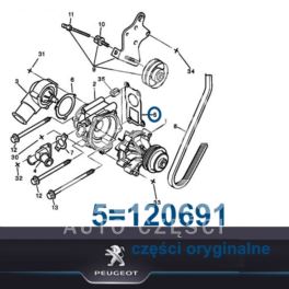 uszczelka obudowy termostatu Citroen, Peugeot 2,5D/TD/TDi DJ5... (oryginał Peugeot)