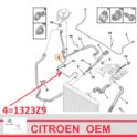 przewód wodny chłodnicy Citroen/ Peugeot 1,6HDi/ 1,6-16 górny od chłodnicy do zbiornika wyrównawczego - nowy oryginał Citroen
