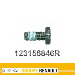 śruba koła zamachowego Renault 1,5dCi M9x1,00-25mm - oryginał Renault