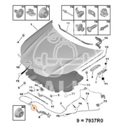 zabezpieczenie maski Citroen C5 X7 2008- z linką (oryginał z sieci Citroen)