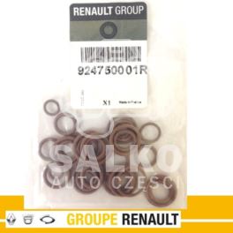 uszczelka klimatyzacji RENAULT Laguna III zestaw/pojazd - oryginał Renault nr 924750001R z sieci ASO