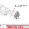 oring wakumpompy Citroen C5 III/ C6/ Peugeot 407 2,7HDi (oryginał Peugeot)