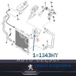 przewód wodny chłodnicy PARTNER II 1,6-16v chłodnicy górny (oryginał Peugeot)