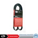 pasek rowkowany 6PK-1200 ALT - oryginał produkcji Gates